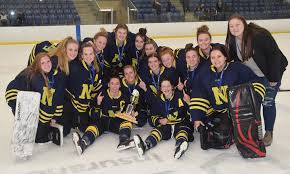 Napanee Beaver - Hawks hockey girls repeat as KASSAA... | Facebook