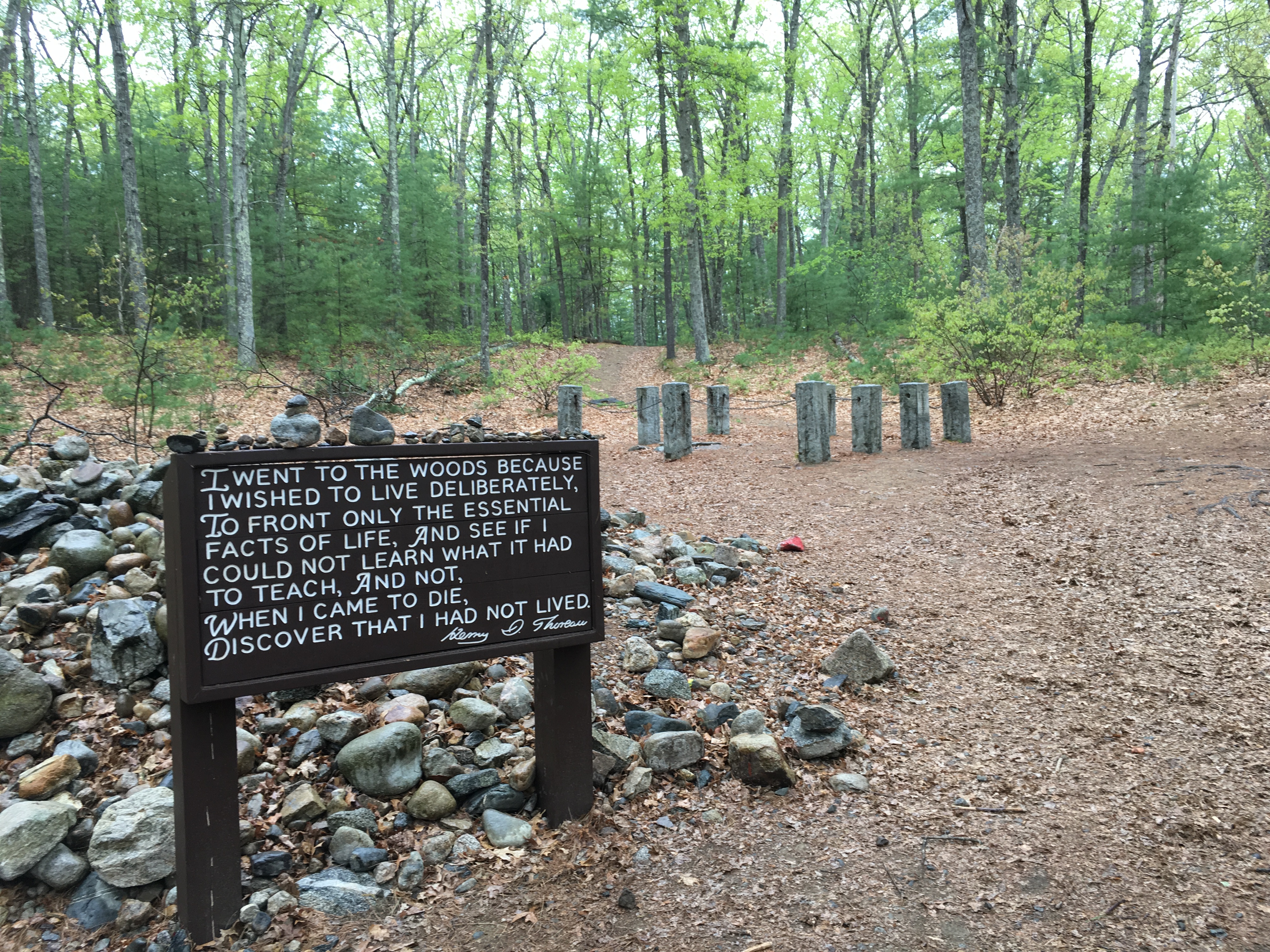 John Kaag on Henry David Thoreau and Walden Pond - philosophy sites